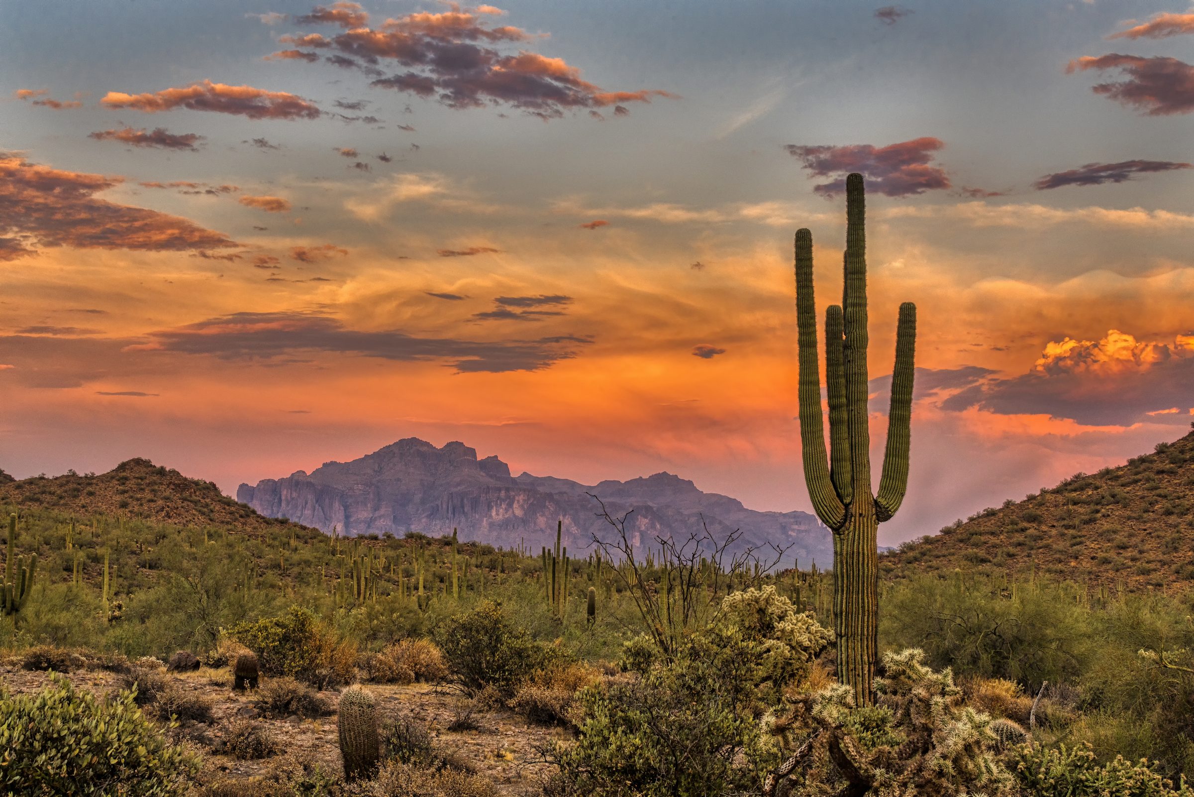 Arizona desert at sunset